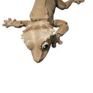 Crested Gecko 3d printed articulating figurine decor