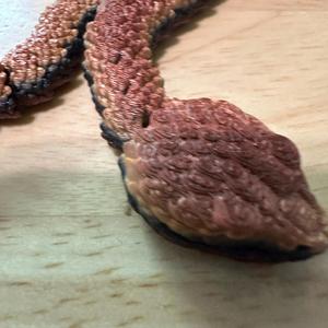 Rattlesnake Figurine - 25 inch - Lifelike Details - Articulating Design - Durable PLA - Decor Room Ornaments
