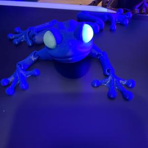 Flexi Frog Figurines Decor