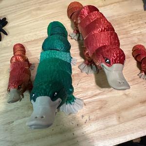 Duckbill platypus 3d printed articulating figurine
