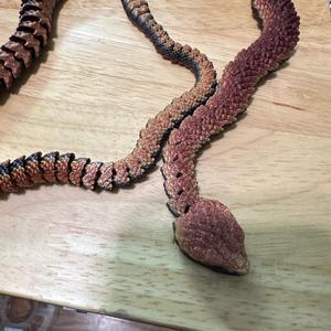 Rattlesnake Figurine - 25 inch - Lifelike Details - Articulating Design - Durable PLA - Decor Room Ornaments